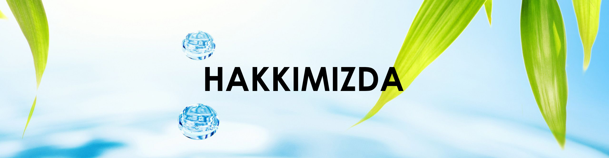 feature-image
