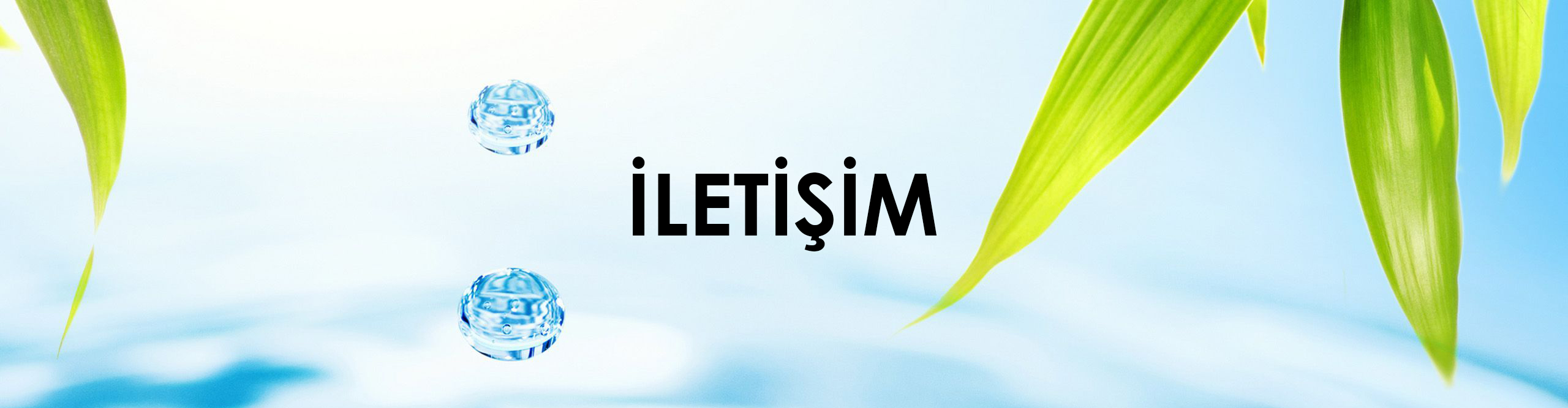 feature-image